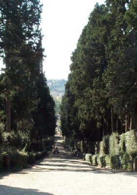 Photo of a path in the Boboli garden